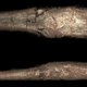 3D-rendered CT scans of the mummy.